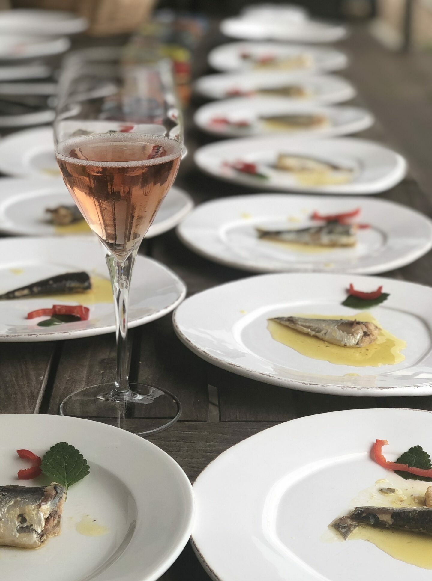 Jahrgangssardine mit Sekt